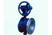 Valves & Pipe Fittings
